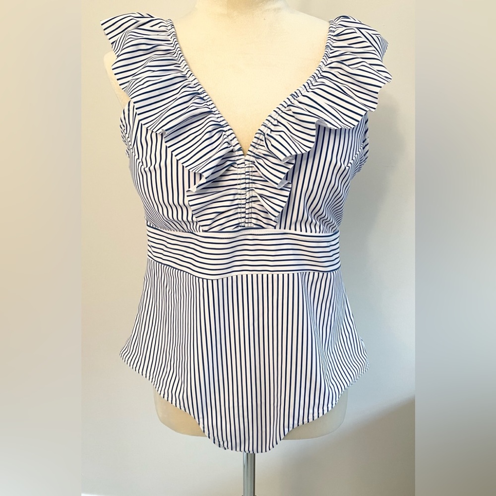Blue Stripe Ruffle Swimsuit Size 2X